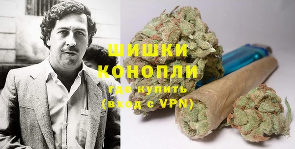 гидра Алексин